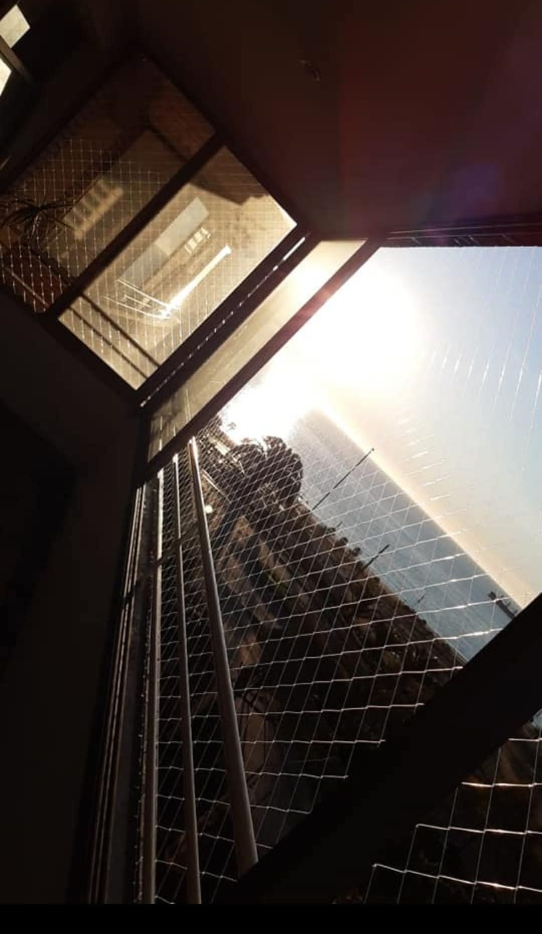 Protección de ventana profesional