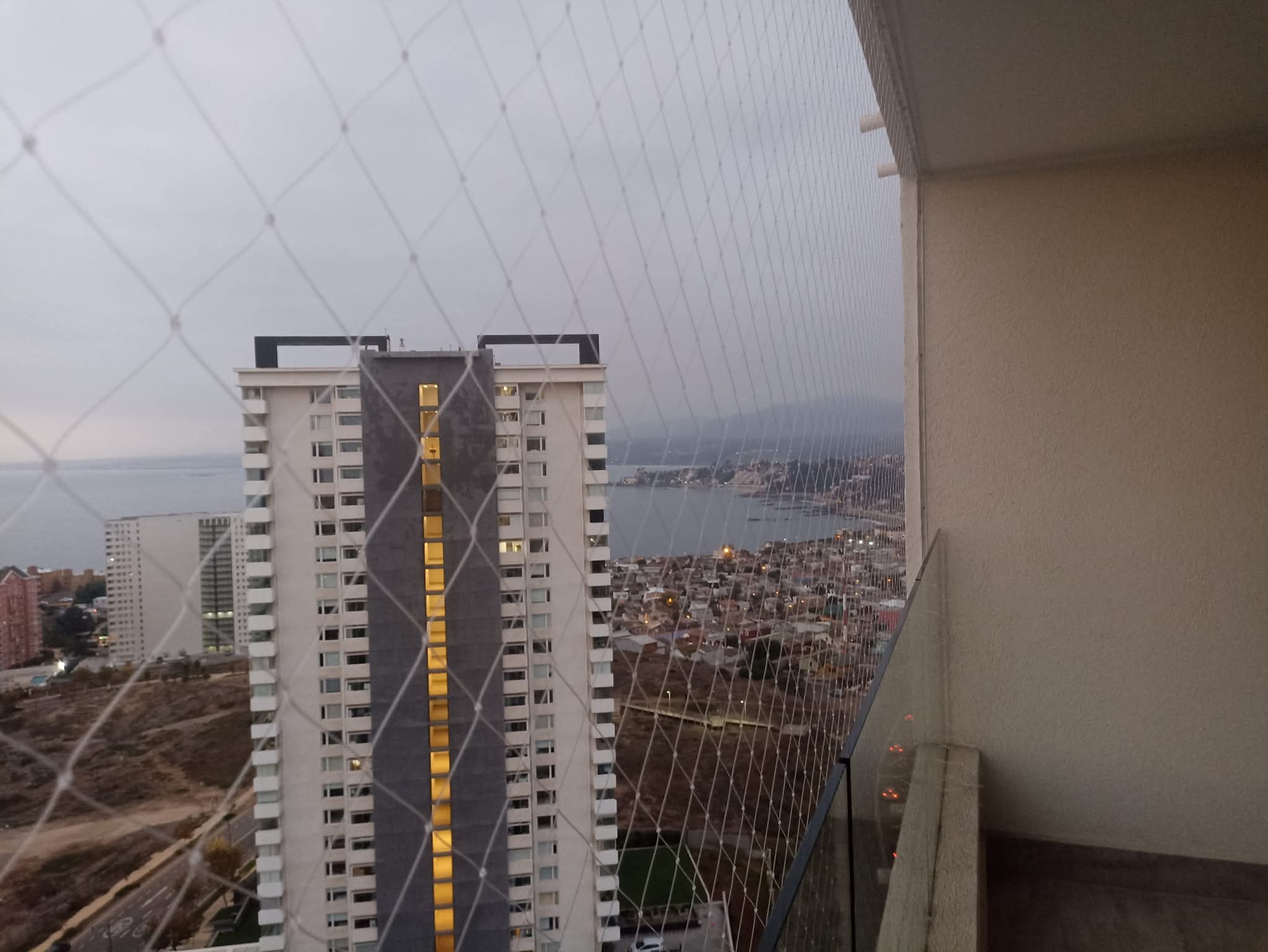 Protección profesional de ventana